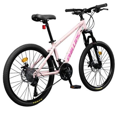 菲利普520爱心车架七夕浪漫礼物