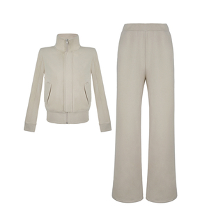 大婷婷 时尚拉链长袖立领卫衣气质休闲阔腿裤套装冬季休闲DT1760