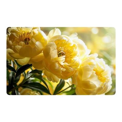 卫生间速干垫家用防滑吸水地垫