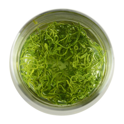 原产地岳西炒青2025绿茶浓香耐泡