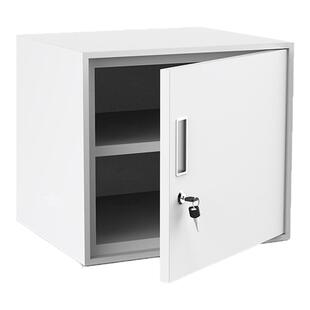 双锁食品添加剂专用柜学校餐厅加厚留样柜壁挂式储物柜室外工具箱