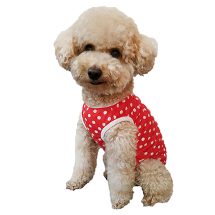 狗狗衣服母狗包肚护肚子全包裹绝育护理断奶服背心公狗防乱尿红色