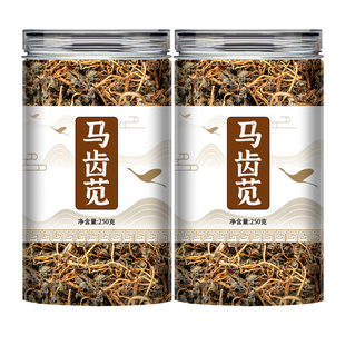 马齿苋中药材野生新鲜马齿笕马齿草马齿菜干货泡茶泡澡功效与作用