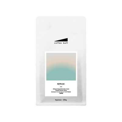 耶加雪菲Danche哈罗SOE精品豆E45