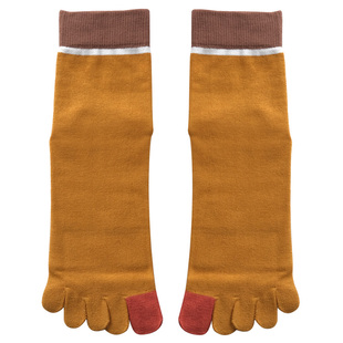 5双装四季中筒五指袜男商务吸汗秋冬棉质五趾袜防臭ins男袜子