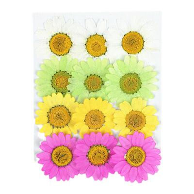 中号干花香薰腊片蜡烛手工植物