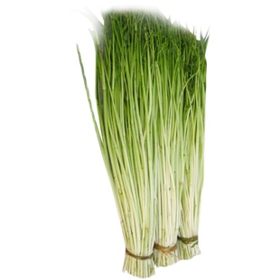 江苏水芹菜新鲜芹菜河芹现发包邮无节非去叶野生叶芹时令净菜蔬菜