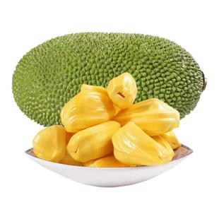 海南三亚黄肉菠萝蜜当季特产新鲜水果整果包邮优质精选天然波罗蜜