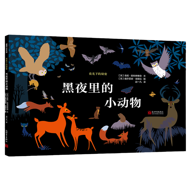 新世界夜光精装版科普科学知识