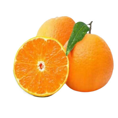 现摘高评分!正宗四川爱媛果冻橙