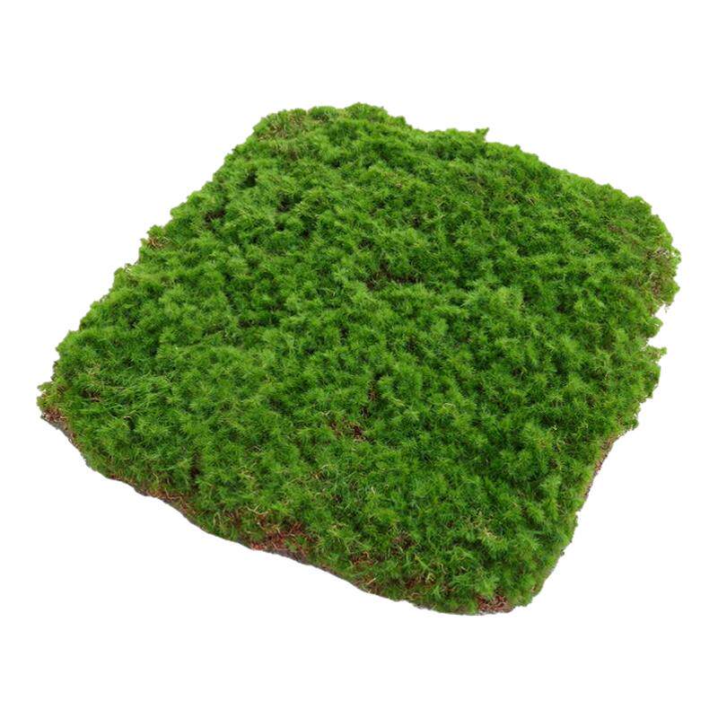 仿真苔藓微景观造景专用青苔皮