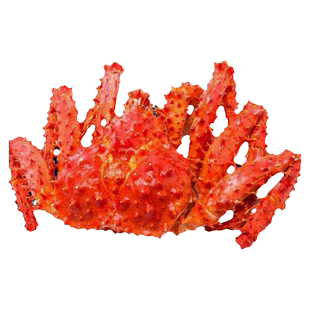 帝王蟹智利进口十斤非鲜活大螃蟹海鲜皇帝蟹蟹腿帝皇蟹年货礼盒