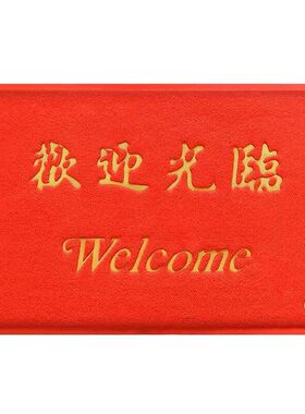 商用门口丝圈地垫定制防滑logo