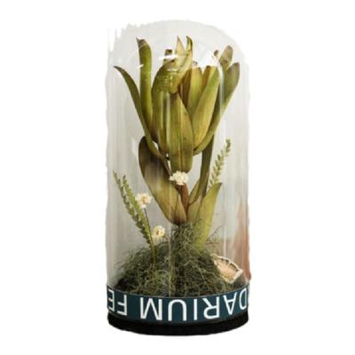 野地玻璃罩植物标本田园风摆件