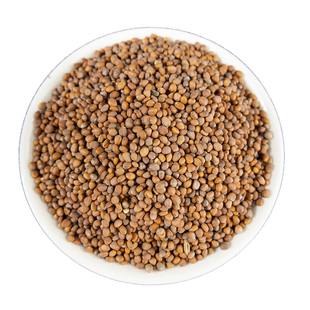 莱菔子中药材500克/250g炒莱菔子茶炒熟萝卜籽 莱菔子粉生莱菔子