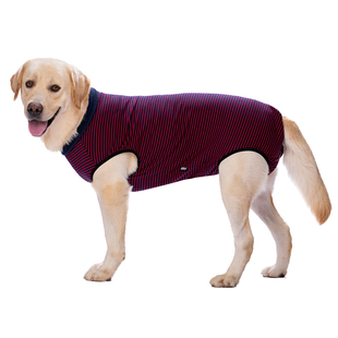 大狗连体生理裤公狗绝育术服金毛全包裹母狗防骚扰避孕卫生姨妈裤