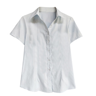 大码衬衫200斤胖子女装加肥加大衬衣胖mm春夏正装胖人长袖职业装