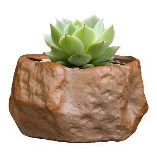 多肉花盆创意桌面文竹绿植个性仿石头菖蒲盆景粗陶肉肉盆陶瓷特价
