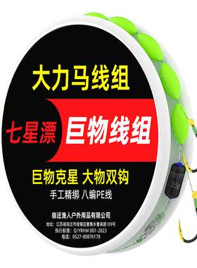 七星漂线组成品套装大力马主线大浮漂鲫鱼草鱼钩子线双钩醒目底钓