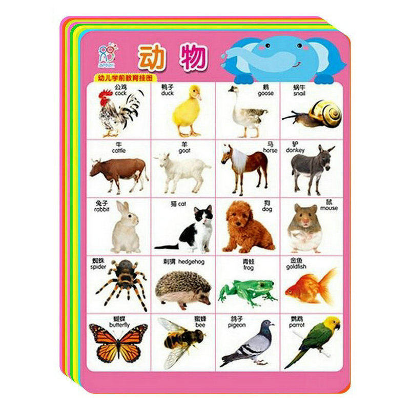 0-6岁幼儿早教大挂图认动物水果