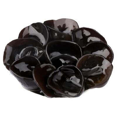 神农架房县黑木耳秋木耳无根肉厚