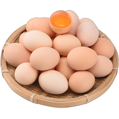 新鲜鸡蛋散养土鸡蛋蛋鲜森无菌蛋