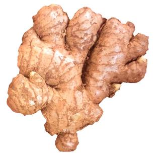 2年老姜母2026年新鲜现挖正宗云南老姜头特级老姜月子姜小黄姜