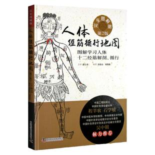 正版 人体经筋循行地图  第2二版完全图解版 图解学习人体十二经筋解剖循行 薛立功刘春山 刘荷婧编著 中国科学技术出版社