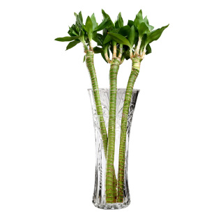 特大号花瓶玻璃透明大口径高50cm插花大号客厅摆件水培富贵竹落地