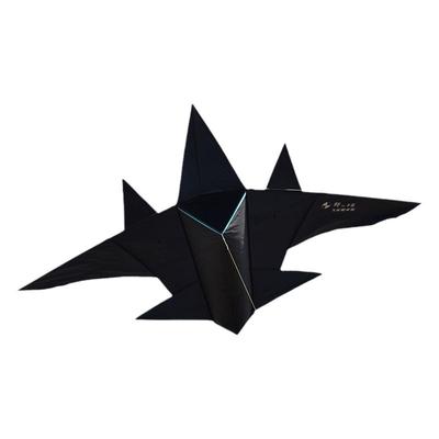 飞机风筝微风易飞做工精细