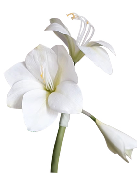 芬芳轻奢高级感白色绣球仿真花束假花客厅装饰摆件桌面花艺插花