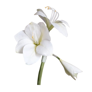 芬芳轻奢高级感白色绣球仿真花束假花客厅装饰摆件桌面花艺插花