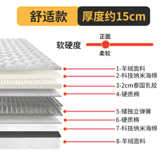 床垫软垫20cm租房专用宿舍学生单人护脊防螨虫无甲醛家用1米2弹簧