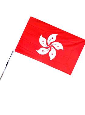 香港区旗定制紫荆花旗手摇旗横幅