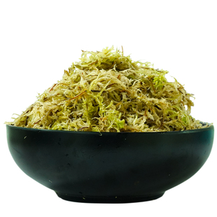 水苔蝴蝶兰专用营养土无菌干苔藓兰花石斛青苔爬宠乌龟冬眠土垫材