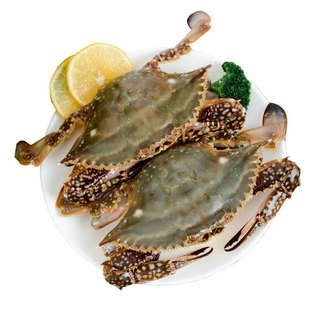 【保鲜不保活】活发青岛梭子蟹母蟹特大新鲜野生飞蟹海蟹螃蟹顺丰