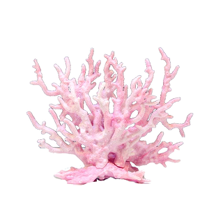 鱼缸水族箱造景珊瑚树枝假山贝壳仿真假水草海水缸装饰海景铁树枝