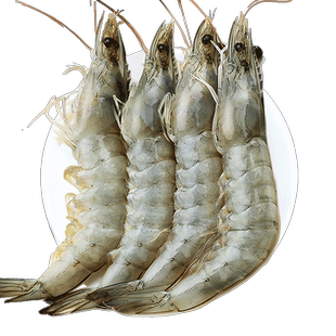 王牌大虾鲜活速冻超大基围虾海虾厄瓜多尔盐冻白虾南美对虾类海鲜