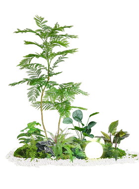 仿真绿植造景组合装饰假植物庭院橱窗布置摆设室内景观造景氛围树