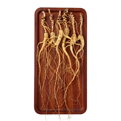 【自用款】东北长白山林下干参非野山参籽儿货老山参泡酒炖汤