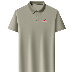 稻草人夏季短袖t恤男士刺绣翻领polo衫透气宽松休闲半袖上衣打底