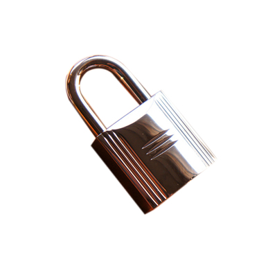 顽度 高端菜篮子不锈钢箱包H家高档五金配件配铜锁具Picotin Lock