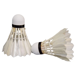 凯西欧8812羽毛球耐打不易烂家庭娱乐学生初学训练鸭毛正品12只装