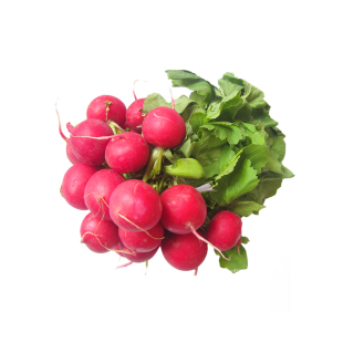 东升笑脸樱桃萝卜种子种籽红白小水果罗卜高产盆栽阳台种菜孑籽种