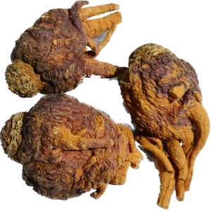 云南丽江紫玛卡秘maca鲁500克码珈紫玛咖干果干片吗咖果泡酒包邮