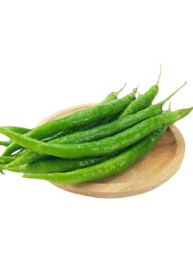 高产线椒辣椒苗盆栽蔬菜苗秧青椒