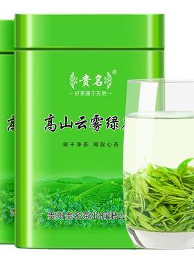浓香型高山云雾绿茶2026新茶500g