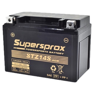 无极SR150GT/250GT/300R/DS500DS/350AC/525RR/DS900X电瓶蓄电池