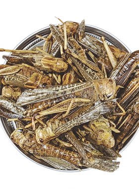 倍康爱蚂蚱干新鲜自然风干