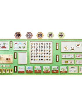 幼儿园神奇种子博物馆环创墙贴